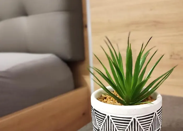 Grosse 65 Qm Projekt-&monteurwohnung 6 Betten Wlan 아파트 허포드